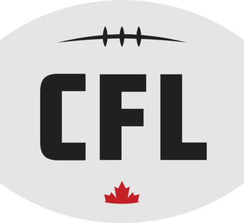 Development Partner of Elite and Club Flag