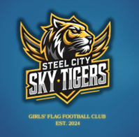 Steel City Sky Tigers logo